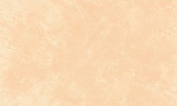 Decorazza STUCCO VENEZIANO / Цвет #SV  10-21